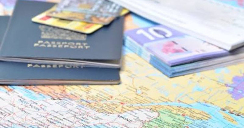 Học gì, cần bằng cấp gì để làm nhân viên visa